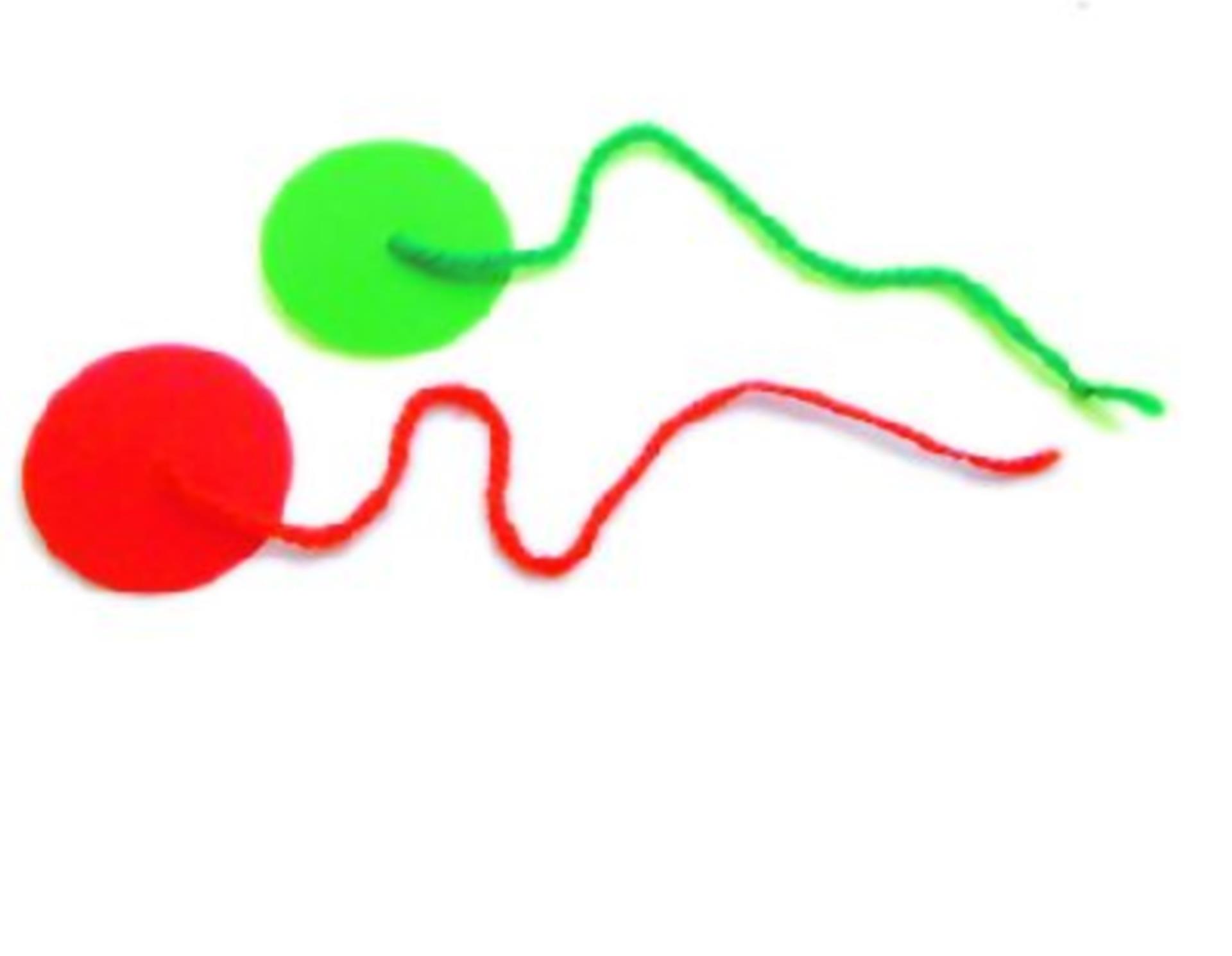 Gotthardt Trimmfäden (4 Paar), rot / grün