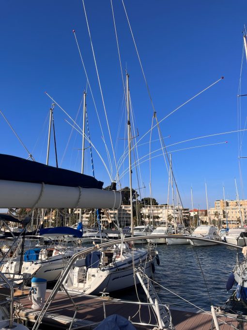 Swi-Tec Möwenschutz Universal inkl. Tasche