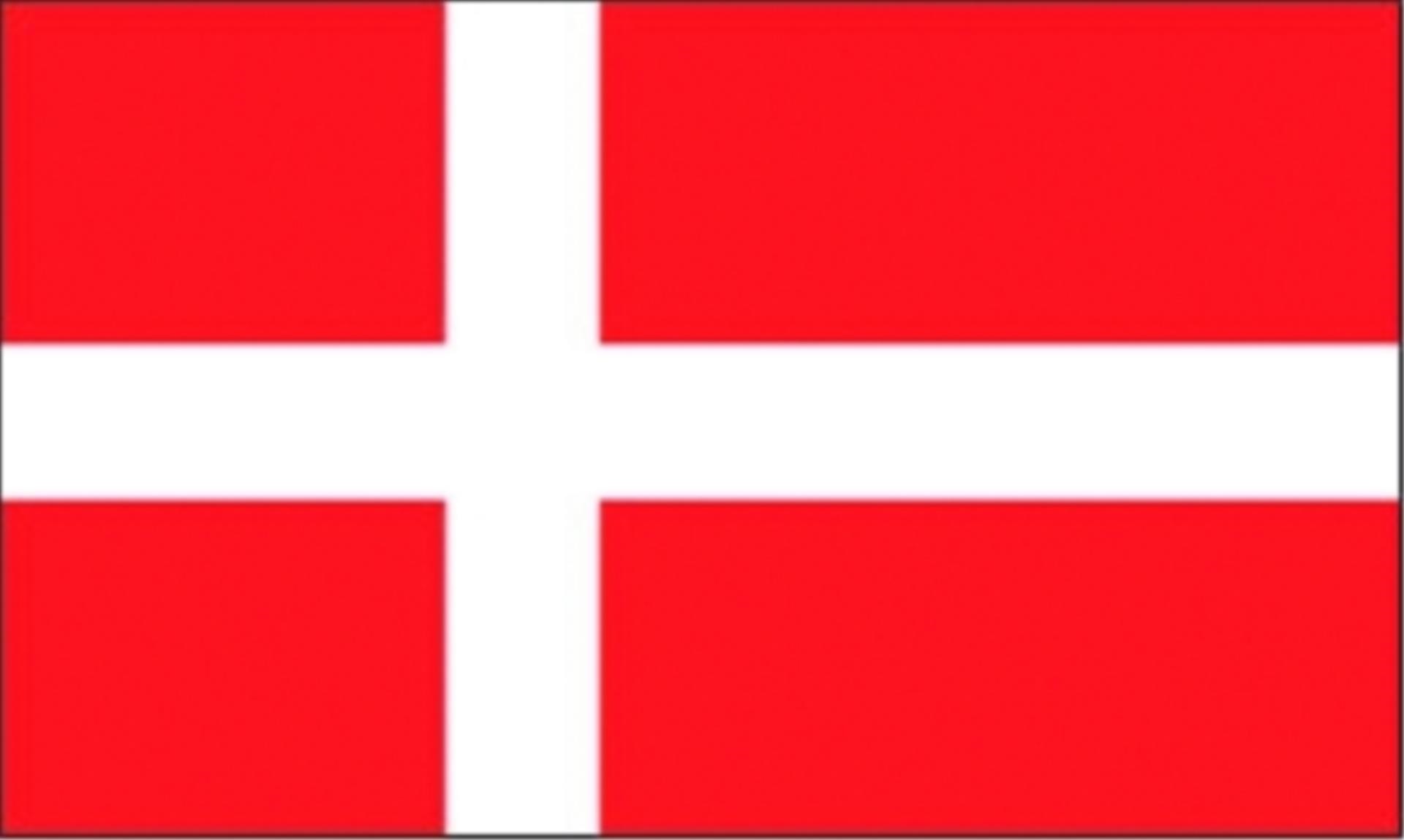 Talamex Flagge Dänemark, 20 x 30 cm