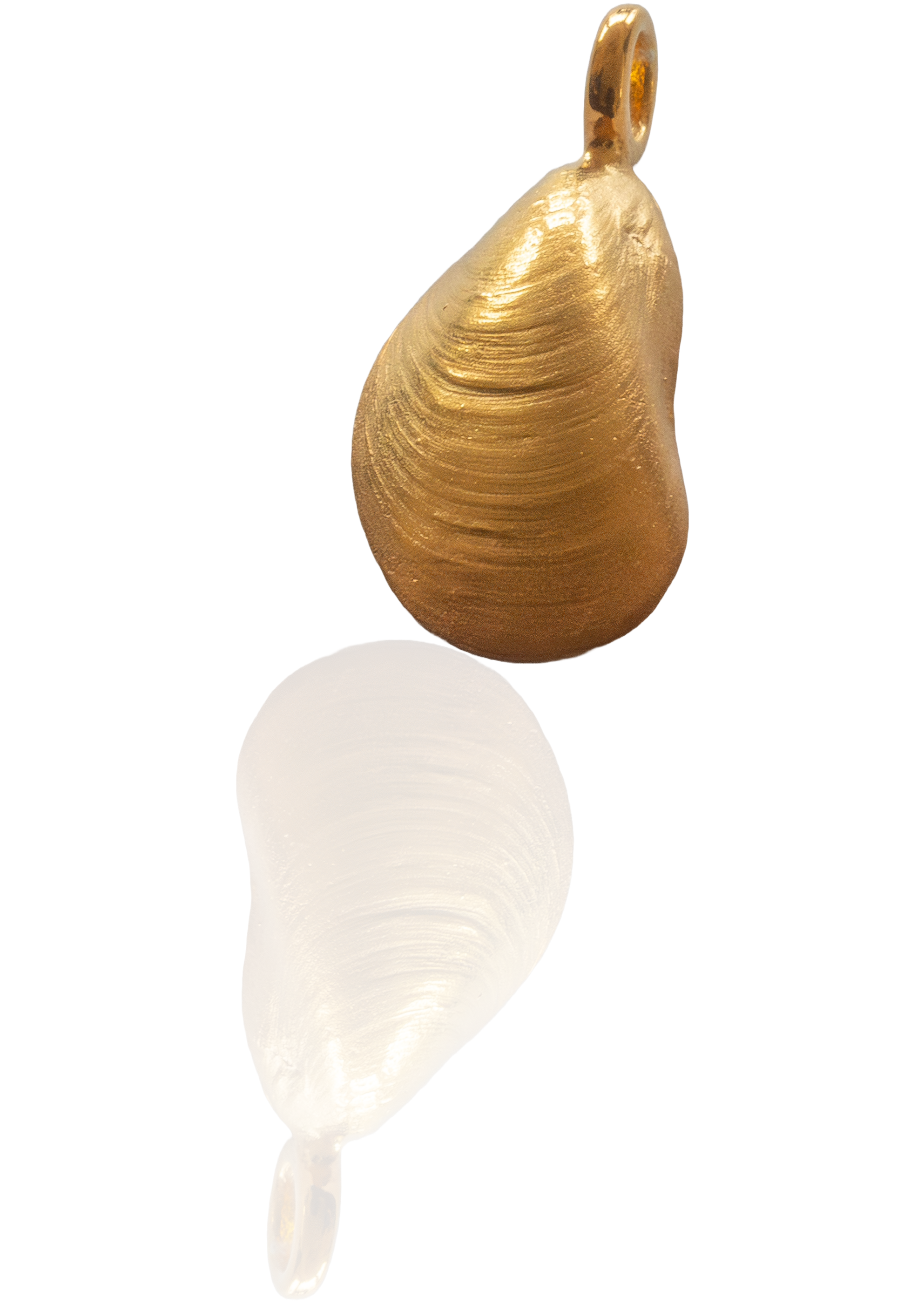 WattenLiebe Miesmuschel Kettenanhänger 925/- Silber vergoldet (Größe 29 mm)