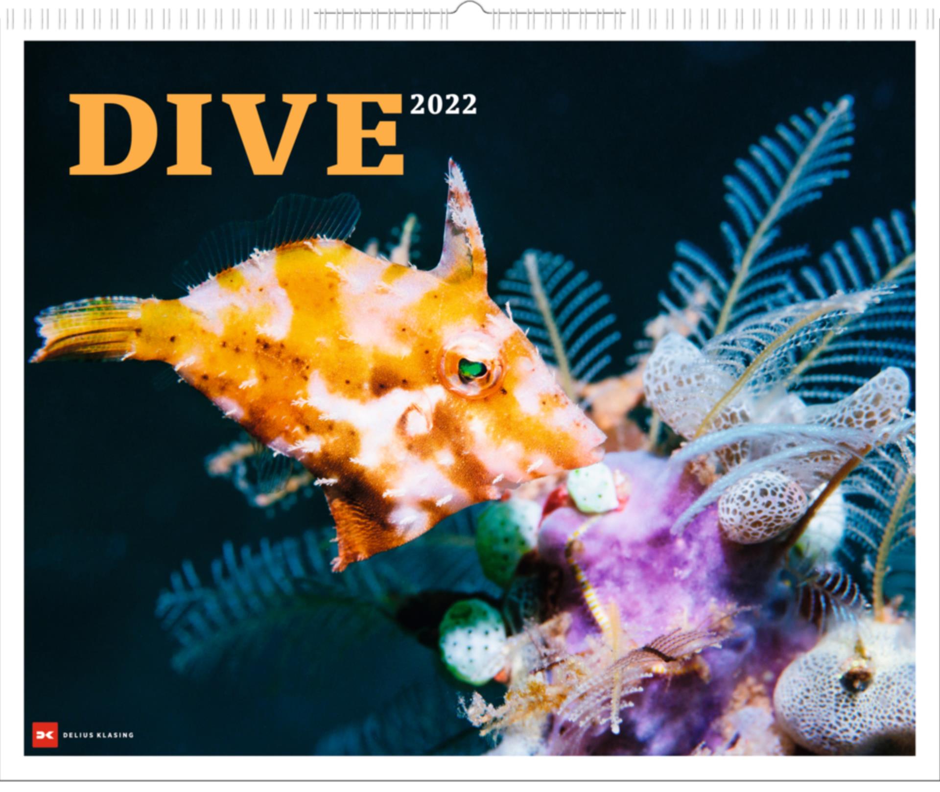 Kalender 2022 "Dive"