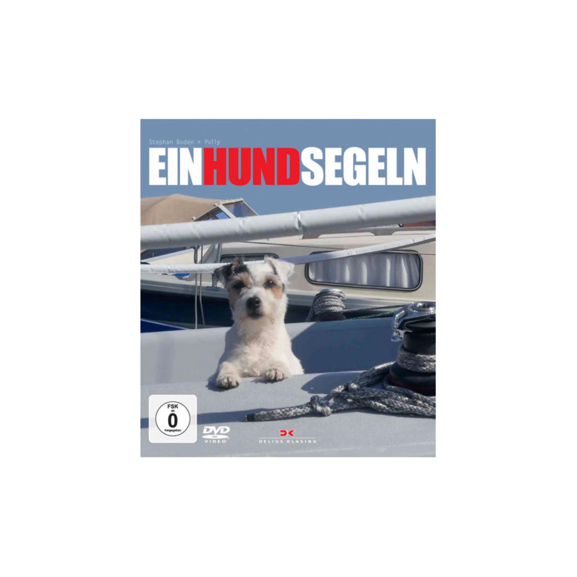 Ein Hund Segeln