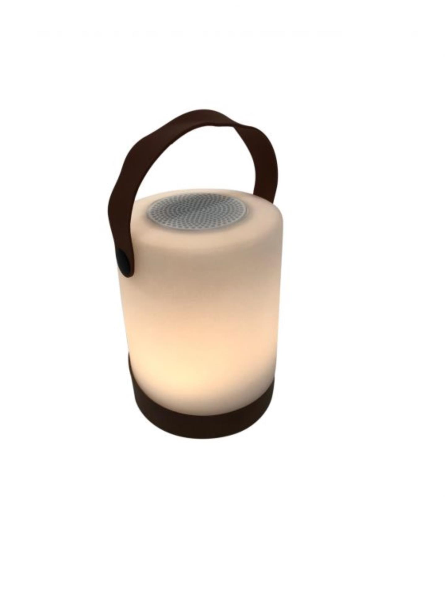 ARC Marine Cosy Lampe Mably Plus wood