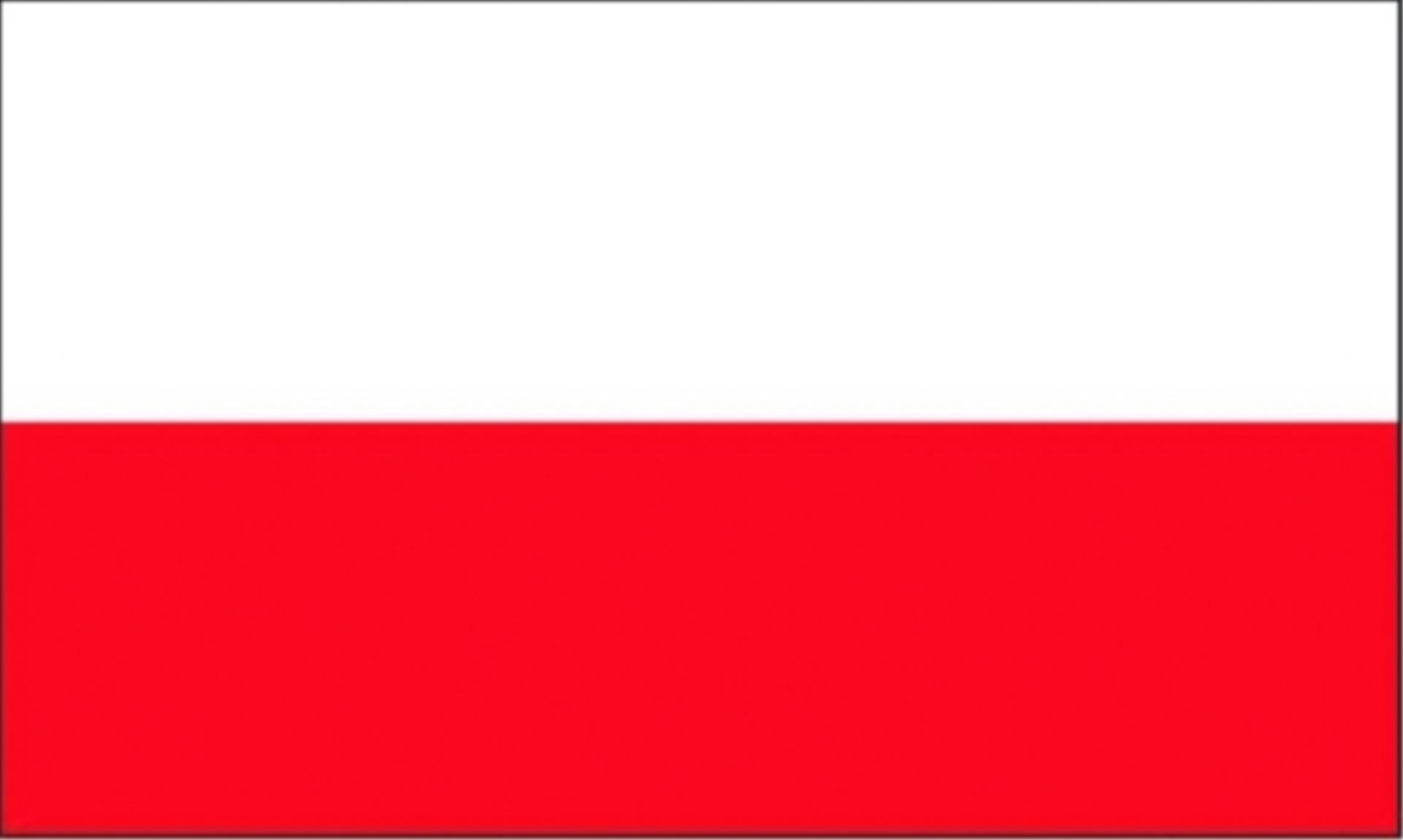 Talamex Flagge Polen, 20 x 30 cm