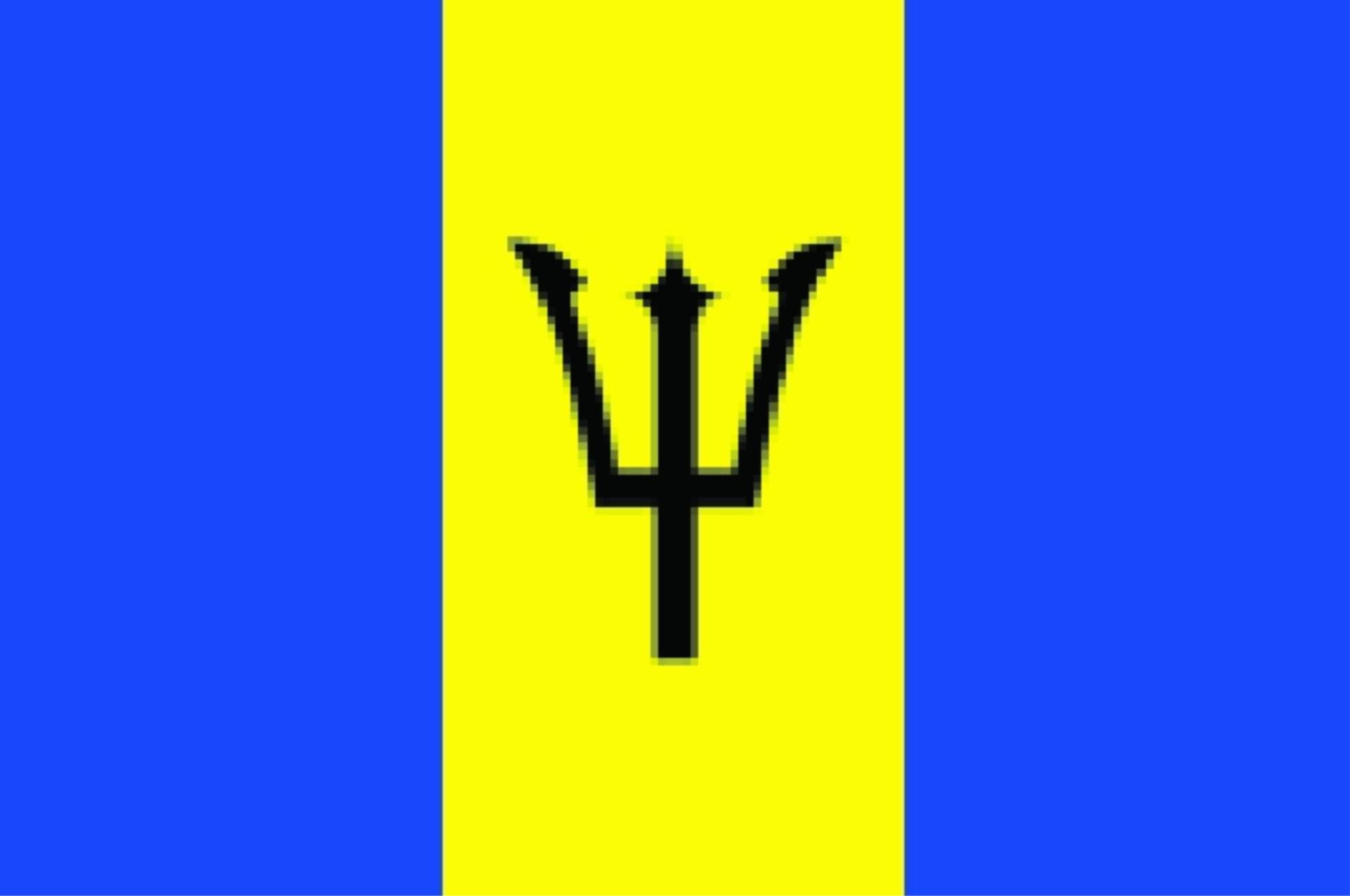Flagge Barbados 20 x 30cm