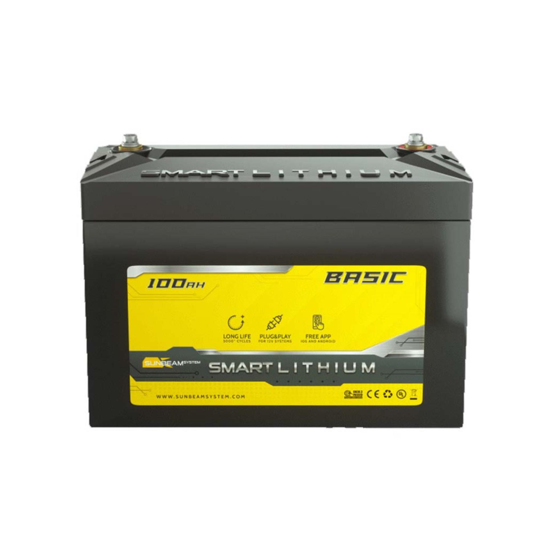 Smart Lithium Basic Batterie 100AH 2Stück