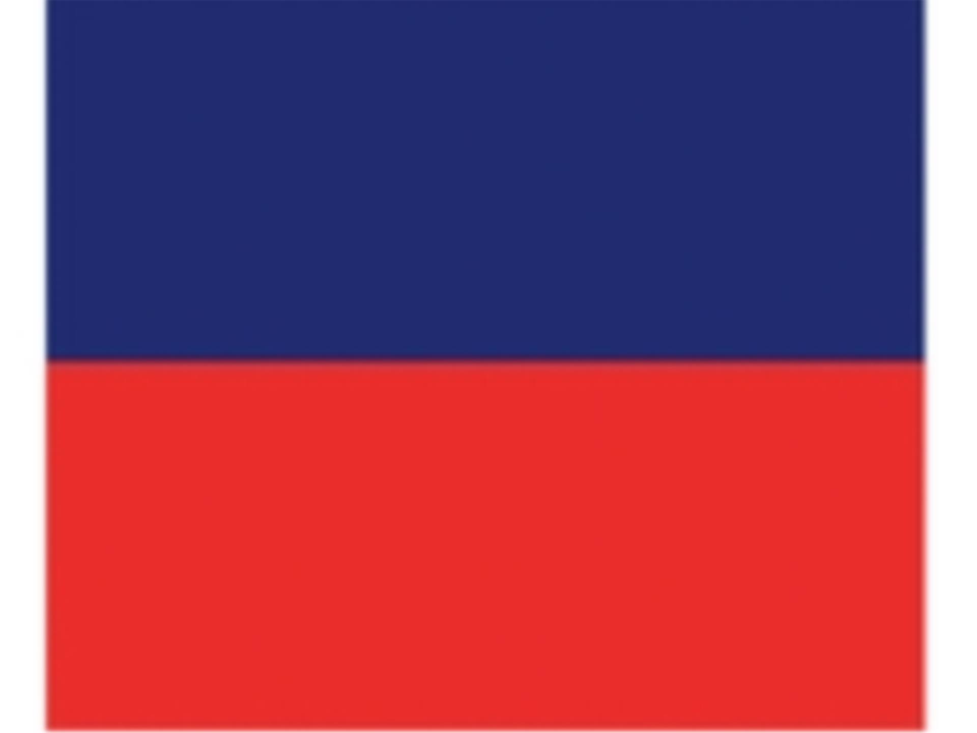 Lindemann Einzelflagge E, 45 x 30 cm Lindemann Einzelflagge E, 45 x 30 cm